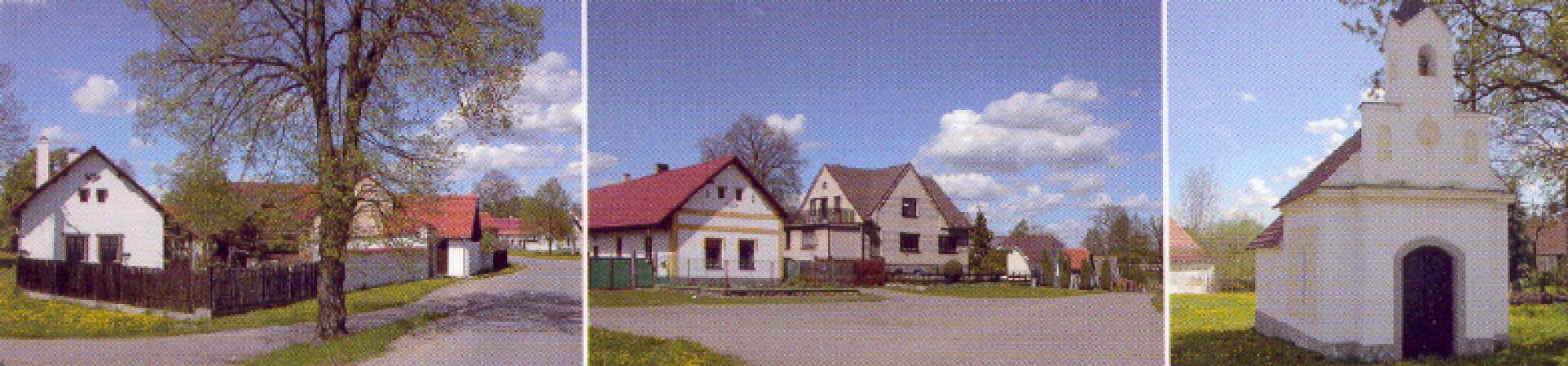 Olší
